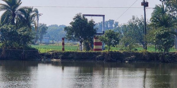 কৃষি ভর্তুকির পানিতে মাছ চাষ